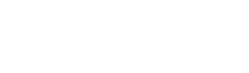Logo Netaxion